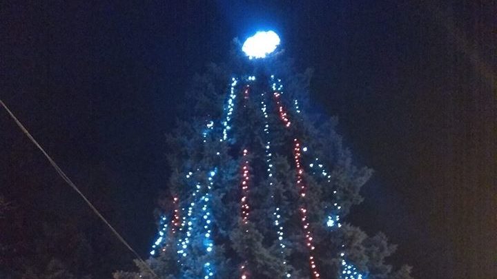 В Запорожье уже нарядили новогоднюю елку, — ФОТО