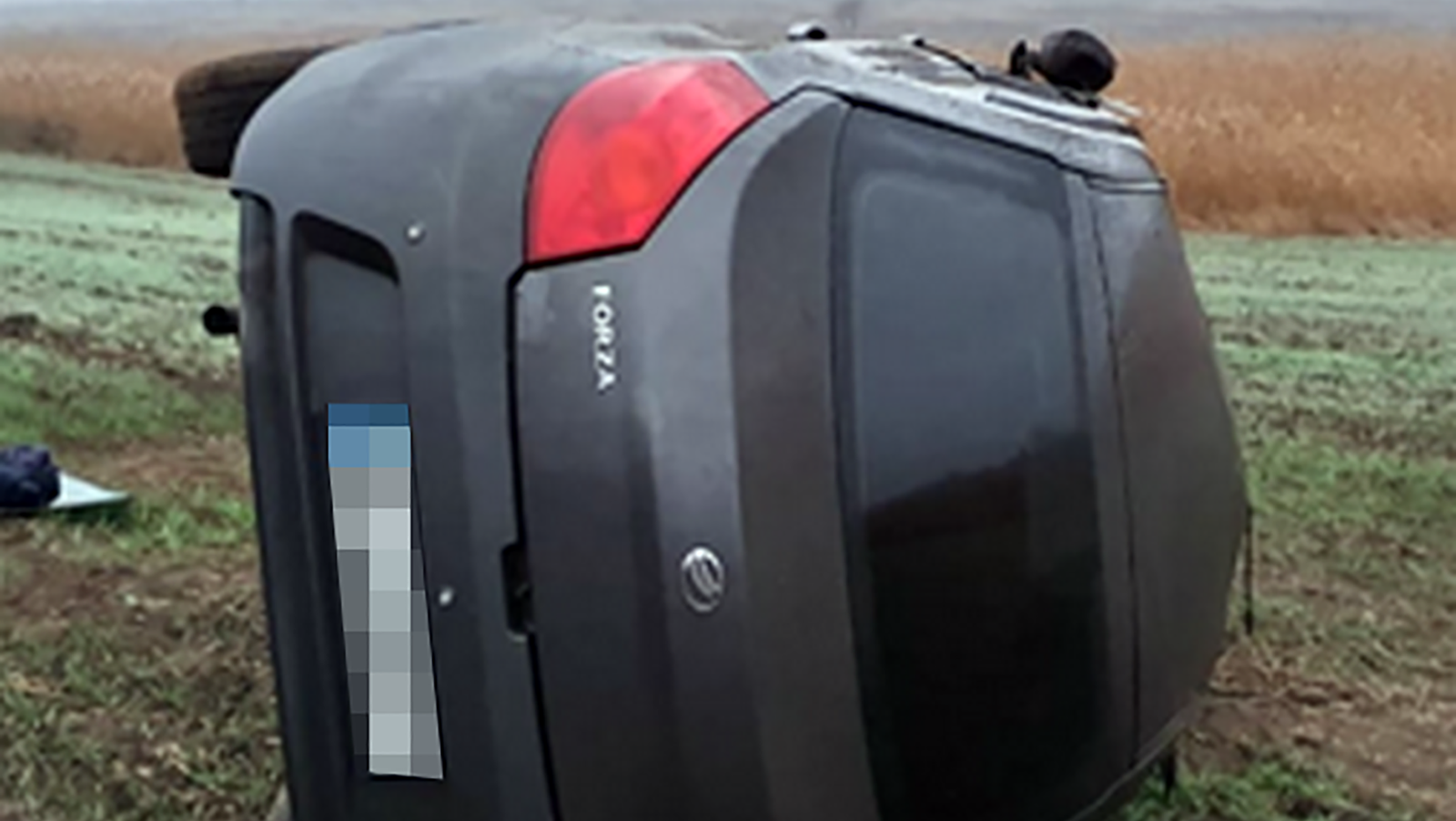 В Запорожской области серийные воры, уходя от погони, перевернулись в авто