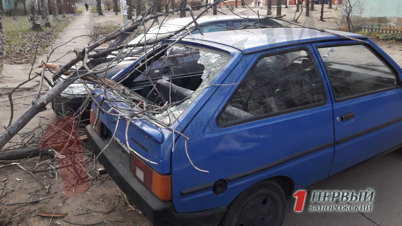 В Запорожье на Космосе из-за ночного ветра пострадало авто, — ФОТО