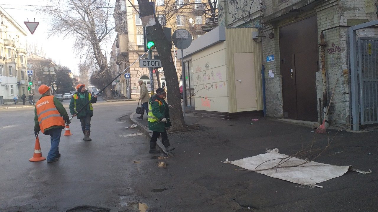 Запорожские коммунальщики обрезали ветви в центре города, которые препятствовали движению транспортных средств