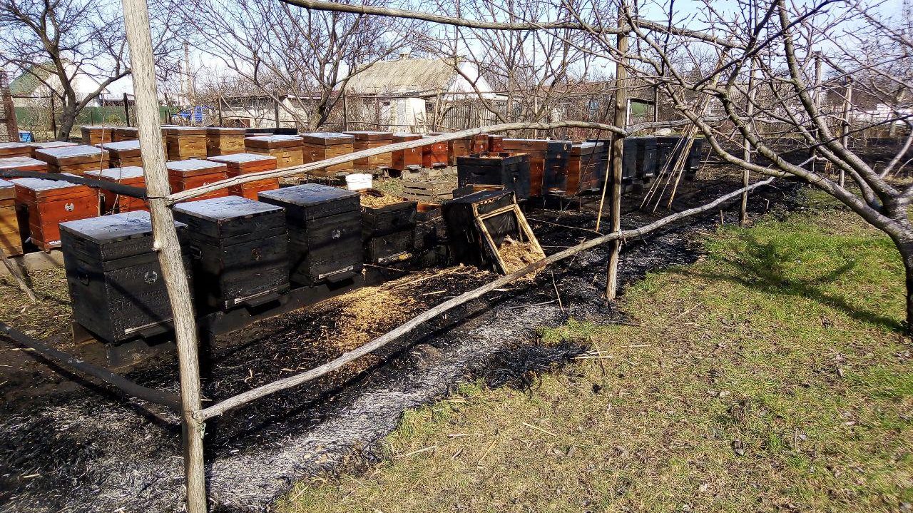 В Вольнянском районе горела пасека: пострадал человек, — ФОТО