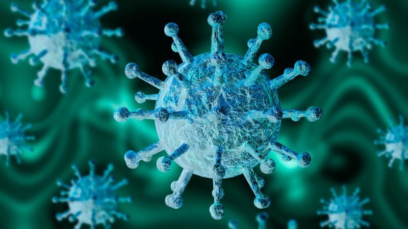 У Запоріжжі зафіксували історичний антирекорд за кількістю нових випадків коронавірусу