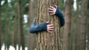 У Запоріжжі рятувальники зняли з дерева чоловіка, який опинився на висоті 4 поверху