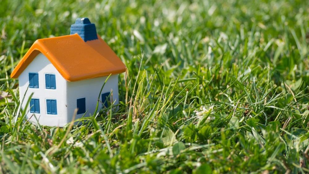 У Запорізькій області незаконно виділили земельну ділянку вартістю 98 мільйонів