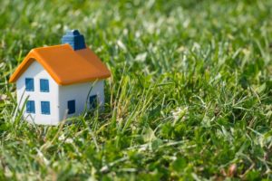 Безоплатно користувались земельною ділянкою у центрі Запоріжжя: підприємство зобов'язали сплатити до бюджету понад 2 мільйонів гривень боргу