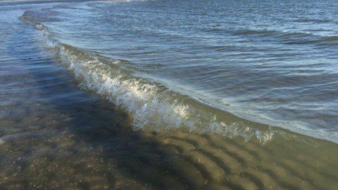 На Запоріжжі в морі потонула дончанка