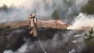 В Запорожской области за сутки произошло 17 экосистемных пожаров