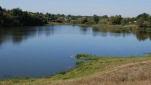 На Запоріжжі в ставку втопилася дитина