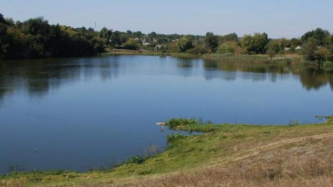 На Запоріжжі в ставку втопилася дитина