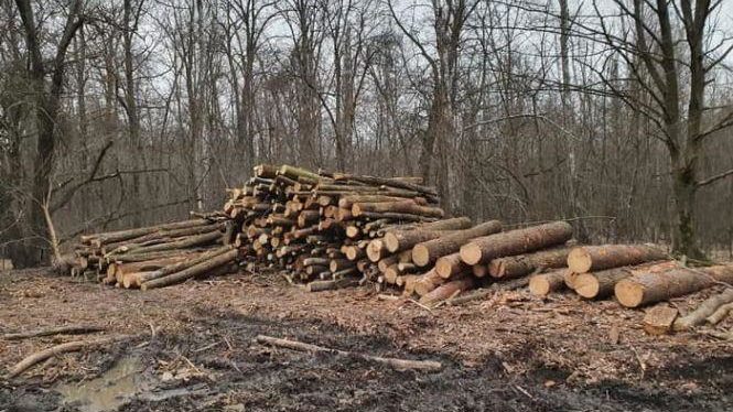 Где в Запорожской области чаще всего ловили 