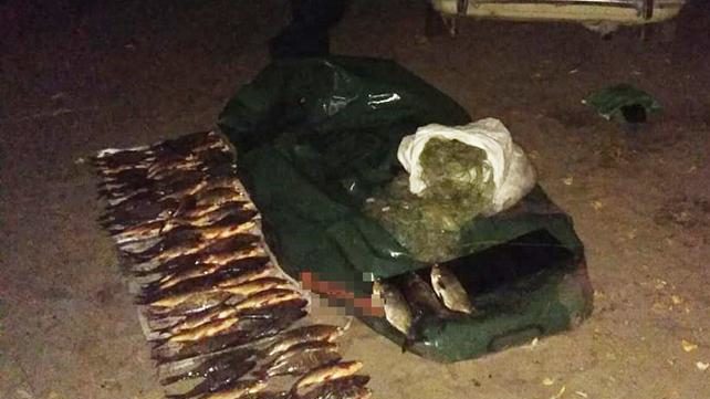В Запорізькому районі виявили браконьєра, який наніс збитків на тисячі гривень