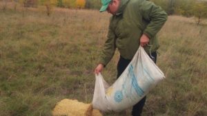 Лісники в Запорізькій області знешкодили 70 браконьєрських пасток