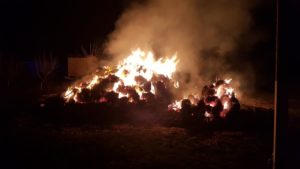 В Запорожской области в пожаре сгорели 700 тюков соломы, – ФОТО 