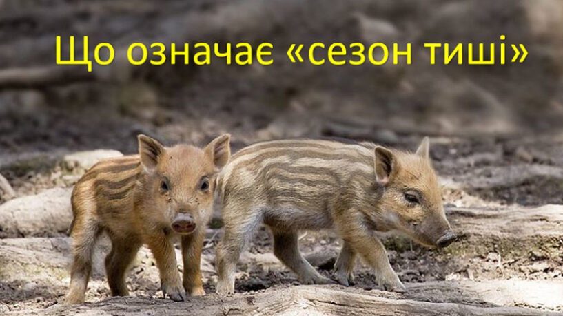 З 1 квітня в Запорізькій області починається 