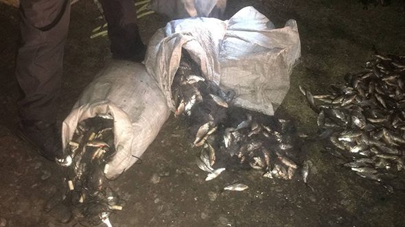 В Запорізькій області викрили браконьєра, який наловил 50 кілограмів риби