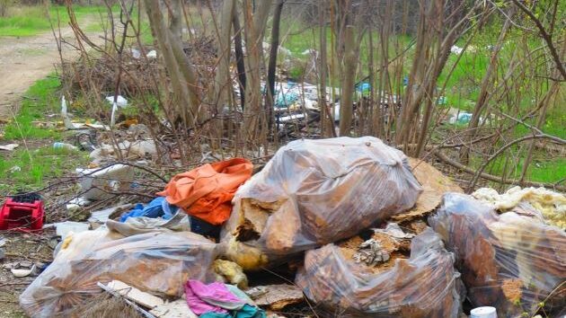 В Хортицькому районі Запоріжжя ліквідували шість стихійних звалищ