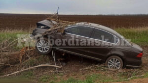 В Запорожской области Volkswagen на большой скорости вылетел с дороги и снес дерево, – ФОТО