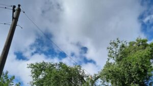 В Запорожье дерево упало на линию электропередач: частный сектор остался без света