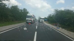 В Запорожской области грузовик попал в ДТП: трасса была усеяна мясной продукцией, - ФОТО