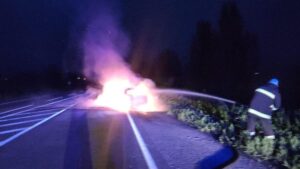 У Запорізькій області за добу згоріли два легкових авто, - ФОТО