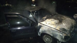 У Запорізькій області вночі згорів легковик, - ФОТО