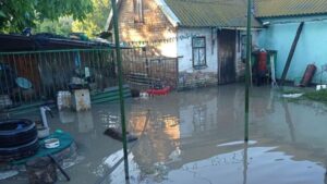 Затопленные авто и дома: спасатели ликвидируют последствия ливней в Запорожской области, - ФОТО