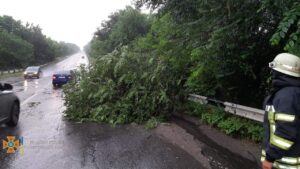 В Запорожье из-за непогоды два дерева рухнули на проезжую часть, - ФОТО
