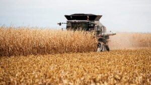  У Запорізькій області аграрії намолотили вже 346 тонн зерна 