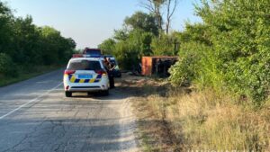 Под Запорожьем «КАМАЗ» с полным прицепом пшеницы перевернулся в кювет: водитель погиб, - ФОТО