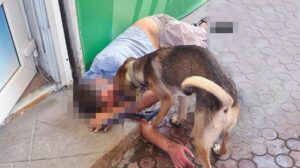 На запорожском рынке мужчина потерял сознание: собака никого не подпускала к хозяину, - ВИДЕО