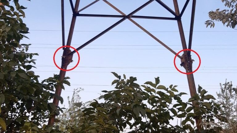 В Запорізькій області