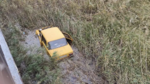 В Запорожской области под мостом в реке обнаружили автомобиль: водитель погиб, – ФОТО