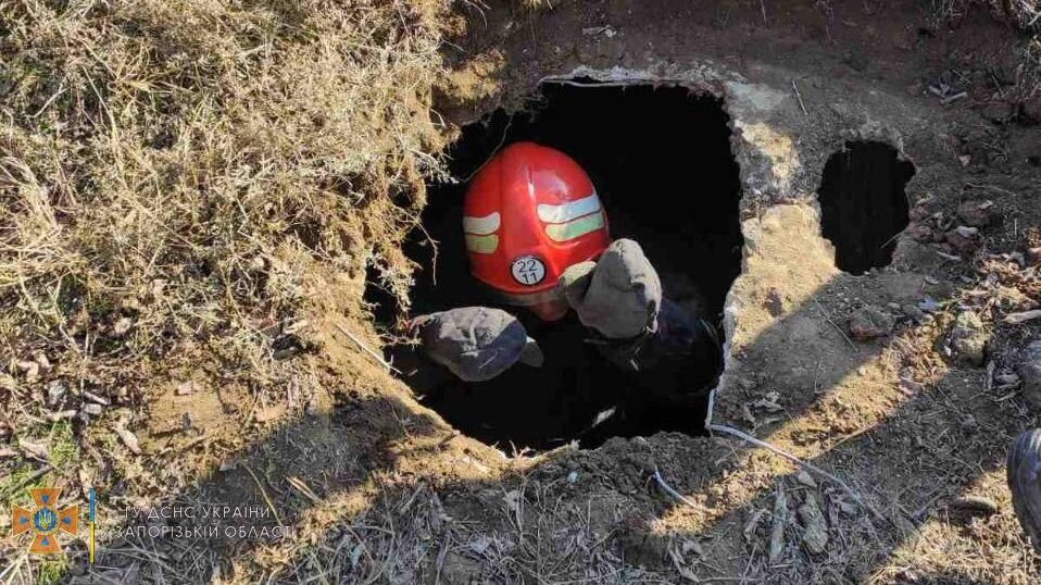 Пожежники врятували з халепи цуценя у Приморську, — ФОТО
