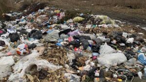 В Запорізькій області комунальне підприємство влаштувало стихійне звалище на площі у 1,4 тисячі квадратних метрів