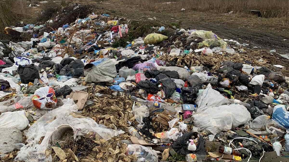 В Запорізькій області комунальне підприємство влаштувало стихійне звалище на площі у 1,4 тисячі квадратних метрів