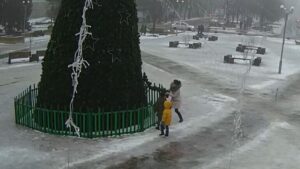 На Запоріжжі встановили особу жінки, яка пошкодила головну новорічну ялинку, – ВІДЕО