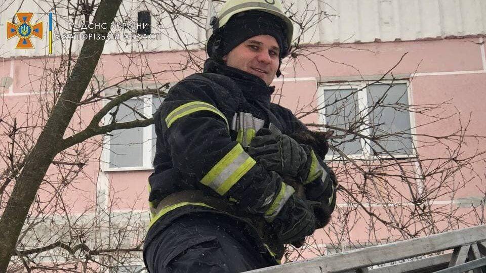 У Запоріжжі бійці ДСНС врятували кота, який застряг на дереві 