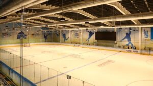  Як виглядатимуть сучасні льодові арени у Запоріжжі та Бердянську, - ФОТО 