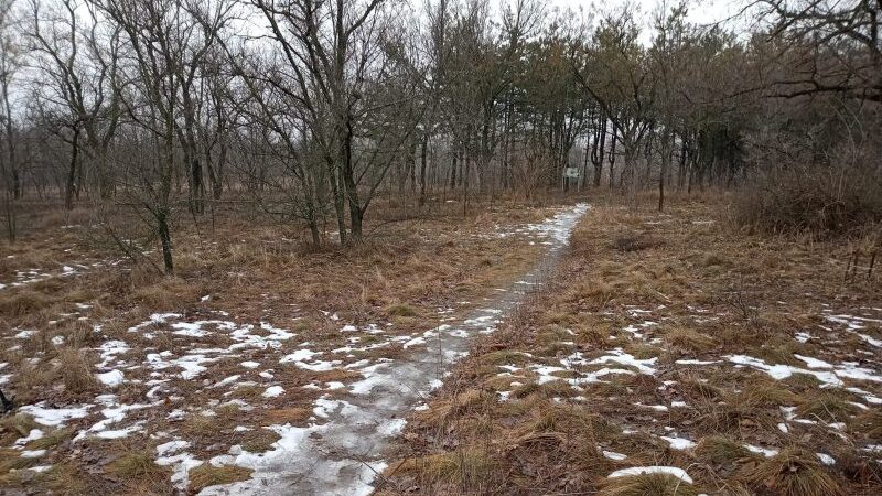 У Запоріжжі візьмуться за відновлення Хортицького лабіринту