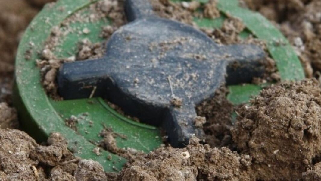 У Запорізькій області тракторист підірвався на ворожій міні