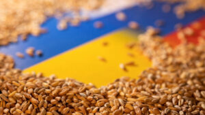 Із підприємств у Запорізькій області окупанти вкрали 2 тисячі тонн зернових культур 