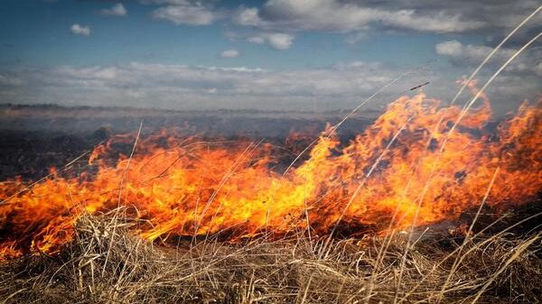 В Запорожской области из-за вражеских обстрелов загорелось поле пшеницы