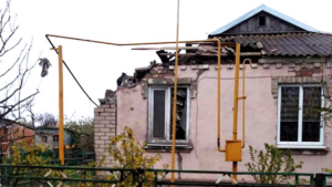 Вбиті домашні тварини, пошкоджена інфраструктура й будинки: наслідки ворожої атаки по Запоріжжю й області, — ФОТО