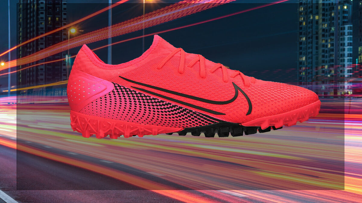 Як обрати сороконіжки?