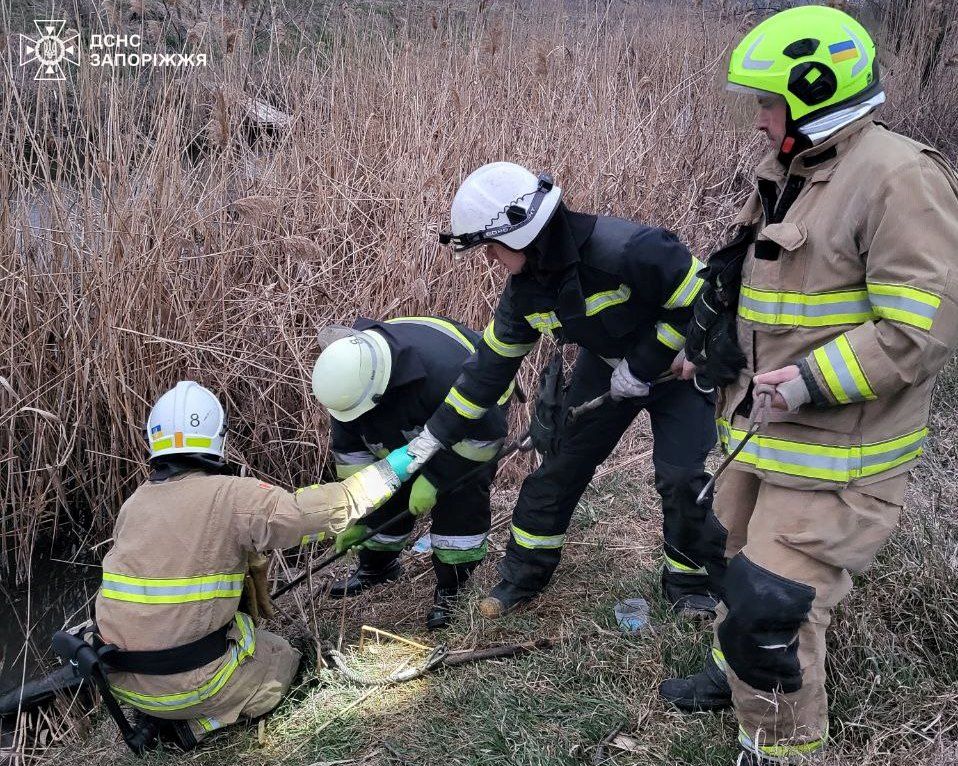 В Запоріжжі у річці знайшли загиблого чоловіка