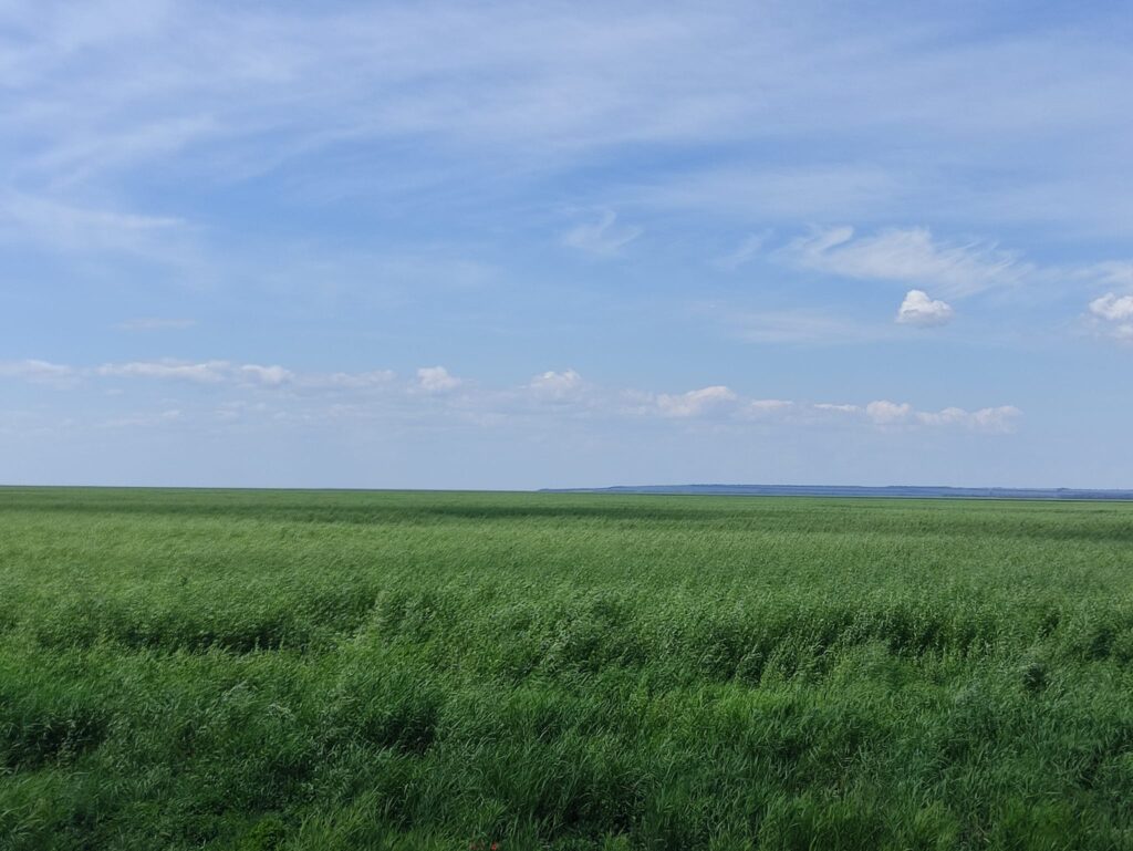  Відродження Великого Лугу на дні колишнього Каховського водосховища