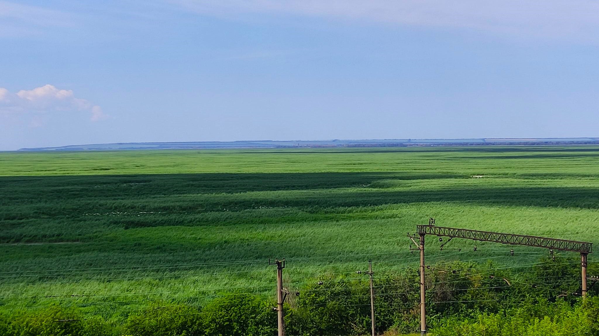 Зелене море з верби і тополі: що зараз відбувається на місці Каховського водосховища