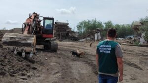 Невідомий пил осідав на будинки в Шевченківському районі Запоріжжя: що кажуть в екоінспекції