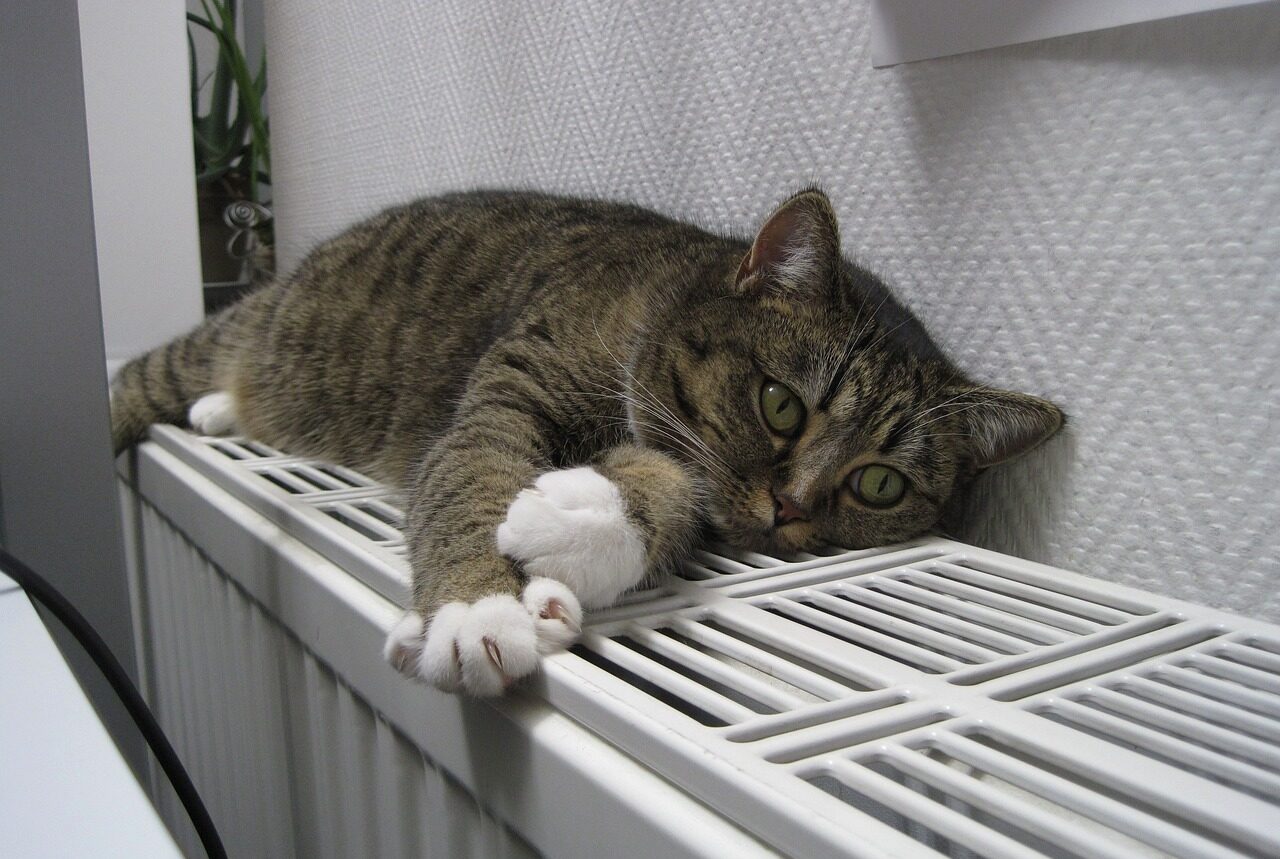 З електрикою більший дефіцит, ніж з опаленням: Запорізька область готова до старту опалювального сезону