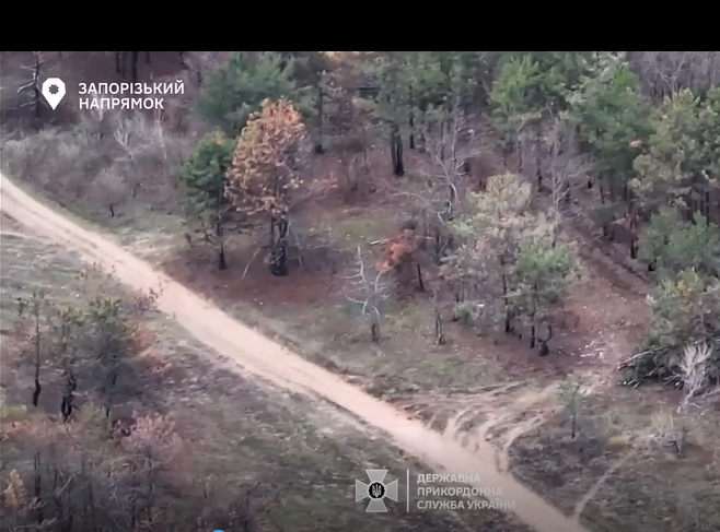 Без шансів для ворога: на Запорізькому напрямку влучно вдарили по окупантах, — ВІДЕО
